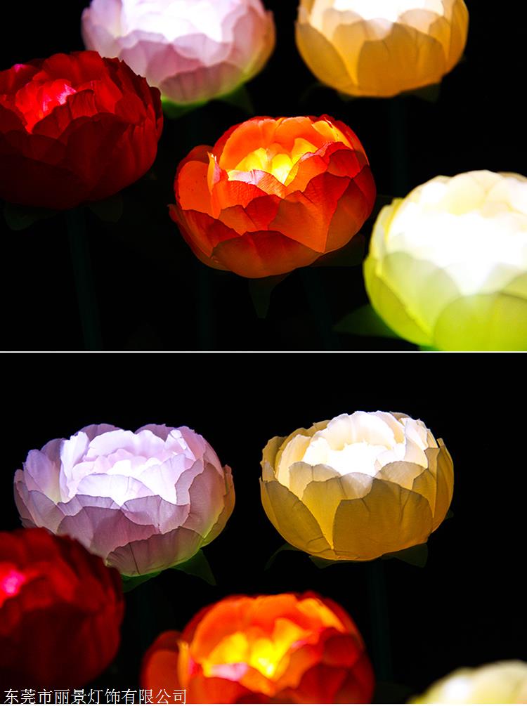 中国牡丹园:春节花灯年味足 免票活动暖人心_中国山东网_菏泽