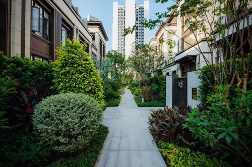 手可摘星辰 广州龙湖双珑原著 奥雅设计