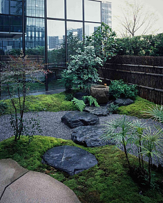 园林设计 艺术与自然的和谐交融