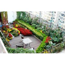 园林设计的艺术与实践 从华盛到南山别墅的专属营造