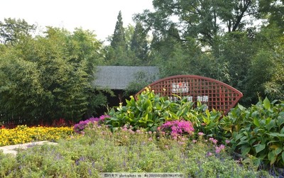 绿化景观与园林设计 融合自然与人文的艺术