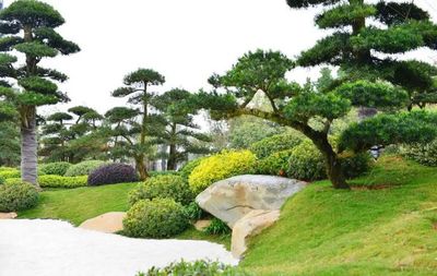 让你大开眼界的植物设计！探索园林设计的无限可能