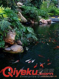 专业房地产摄影服务——深圳市扬名摄影设计