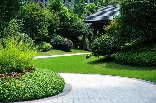 设计师必看 景观设计与园林设计的几大常见误区