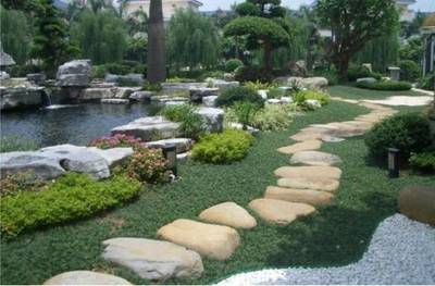 咫尺乾坤 苏式园林中植物与山石的共生之韵