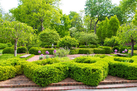 与自然共鸣 现代公园绿化与园林设计的艺术融合